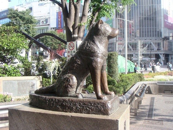Памятник Хатико. Самой верной собаке за всю историю человечества.