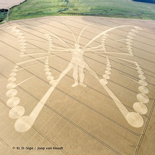 Огромный рисунок человека-бабочки, август 2009 года, Нидерланды. Это самый большой круг за все время наблюдения – его размеры 530 на 450 метров, 