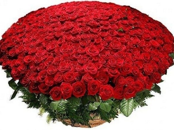 Самый большой букет цветов содержал 13 351 роз.