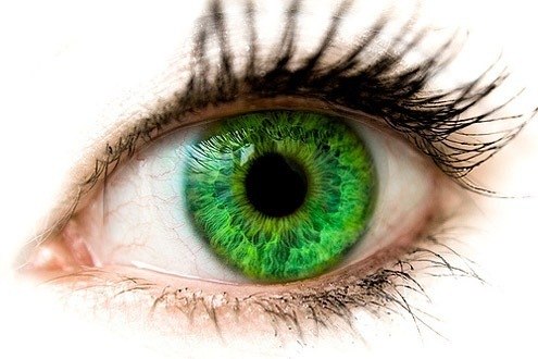 По статистике, обладатели зеленых глаз – очень нежные и ранимые личности, они отличаются невероятной верностью, как в дружбе, так и в любви.