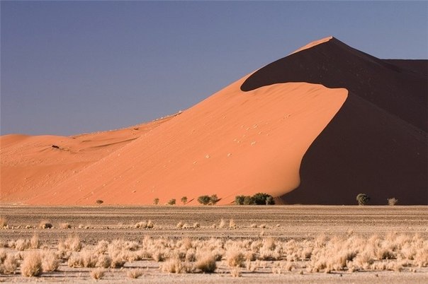 Самые большие красные дюны