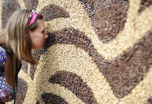 В России создали самую большую в мире картину из кофе