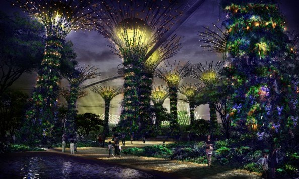 Гигантский ботанический сад в Сингапуре