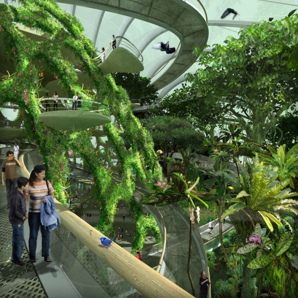Гигантский ботанический сад в Сингапуре