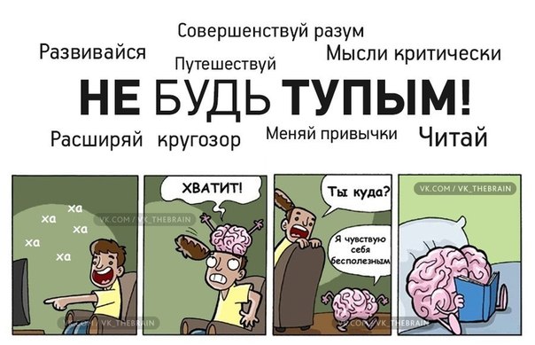 Каждый день мы видим в ВКонтакте сотни мемов,тысячи тупого юмора. На таких страницах как «Трахни Нормальность», «MDK» - более двух миллионов подписчиков. У независимого проекта «The Brain!» — чуть больше двухсот тысяч человек. О чем это говорит?
