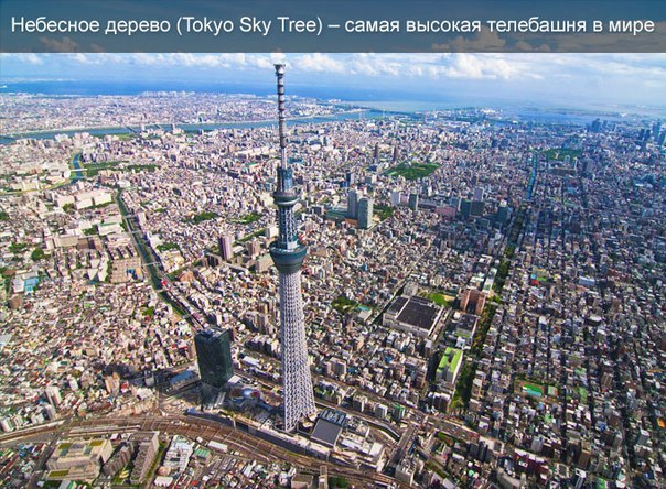 Tokyo Sky Tree – это недавно построенная и открывшаяся телебашня на северо-востоке столицы Японии, которая занесена в Книгу рекордов Гиннесса, как самая высокая телекоммуникационная башня в мире. Ее высота достигает 634 метра