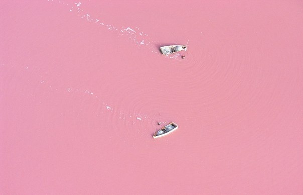 Ретба, или Розовое озеро — озеро в Сенегале, расположенное в 20 км к северо-востоку от полуострова Зелёный мыс. Вода в озере приобрела розовый оттенок благодаря микроорганизмам, способным существовать в насыщенном солевом растворе. Кроме них, другой органической жизни в Ретбе нет - для водорослей, не говоря уж о рыбах, такая концентрация соли губительна. Она здесь почти в полтора раза выше, чем в Мертвом море, - триста восемьдесят граммов на литр… Микробиолог Бернард Оливер решил научно объяснить причину такого необычного цвета воды. В озере обитает микроорганизм Dunaliella salina, который, поглощая солнечный цвет, выделяет пигмент. Из озера постоянно добывается соль.