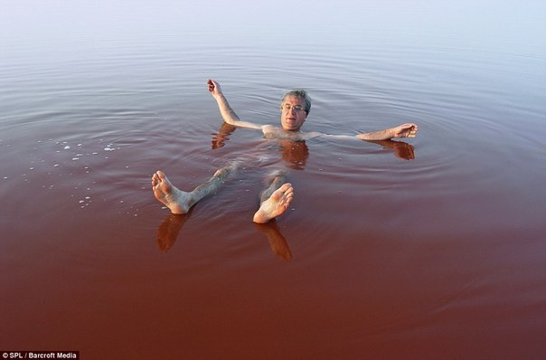 Ретба, или Розовое озеро — озеро в Сенегале, расположенное в 20 км к северо-востоку от полуострова Зелёный мыс. Вода в озере приобрела розовый оттенок благодаря микроорганизмам, способным существовать в насыщенном солевом растворе. Кроме них, другой органической жизни в Ретбе нет - для водорослей, не говоря уж о рыбах, такая концентрация соли губительна. Она здесь почти в полтора раза выше, чем в Мертвом море, - триста восемьдесят граммов на литр… Микробиолог Бернард Оливер решил научно объяснить причину такого необычного цвета воды. В озере обитает микроорганизм Dunaliella salina, который, поглощая солнечный цвет, выделяет пигмент. Из озера постоянно добывается соль.