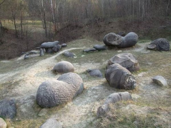 Удивительные камни можно встретить вдали от городов в центре и на юге Румынии. Трованты – так называют их местные жители. Оказывается, эти камни могут расти и размножаться. Так, например, небольшой тровант, который имеет вес в несколько граммов, может со временем вырасти до гигантских размеров и потяжелеть более чем на тонну. Чем старше камень, тем медленнее он растет. Основная составляющая растущих камней-тровантов – это песчаник. По своему внутреннему строению они тоже выглядят необычно: если распилить камень пополам, то на срезе, который похож на спил дерева, можно рассмотреть несколько так называемых возрастных колец, сосредоточенных вокруг небольшого твердого ядра. Геологи уверены, что трованты — это всего лишь результаты длительных процессов цементации песка, которые происходят миллионы лет в недрах земли. А с помощью сильной сейсмической активности такие камни оказываются на поверхности. Нашли ученые и объяснение росту тровантов: камни увеличиваются в размерах благодаря большому содержанию различных минеральных солей, находящихся под их оболочкой. Когда поверхность намокает, эти химические соединения начинают расширяться и давить на песок, отчего камень «растет». Тем не менее есть у тровантов особенность, которую геологи объяснить не в состоянии. Живые камни способны еще и размножаться. Происходит это так: после того, как поверхность камня намокнет, на ней появляется небольшая выпуклость. Со временем она разрастается, когда же вес нового камня становится достаточно большим, он отламывается от материнского. Строение у новых тровантов такое же, как и у более старых. Внутри также присутствует ядро, в чем и заключается основная загадка для ученых.