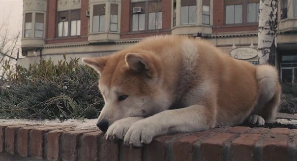 По опросам, самым грустным зарубежным фильмом является "Хатико: Самый верный друг." ( Hachiko: A Dog's Story), основанный на реальных событиях.