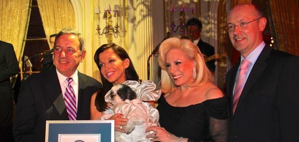 Самая дорогая свадьба для домашних животных была оценена в $158,187.26 (£101,838) между собаками Baby Hope Diamond  и Chilly Pasternak