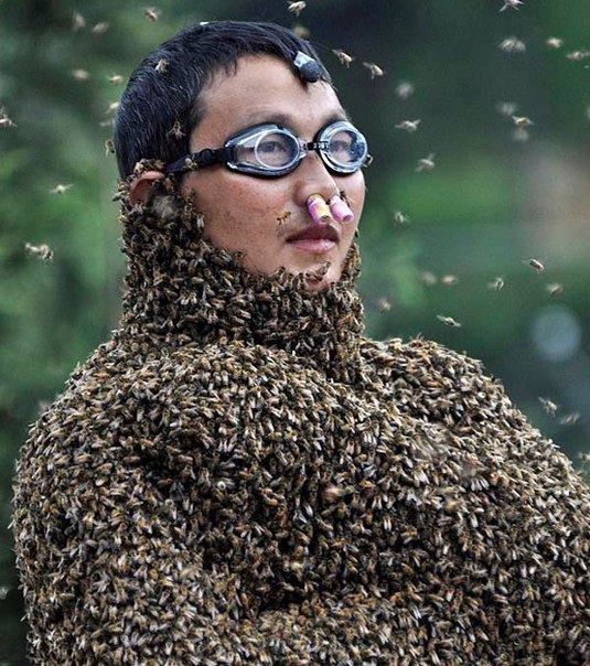 26 килограммов пчел на теле китайского фермера Ванг Далина
