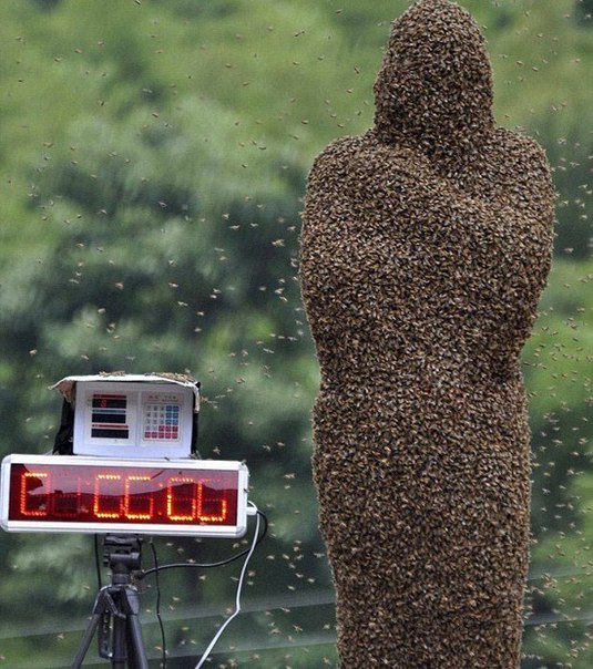 26 килограммов пчел на теле китайского фермера Ванг Далина