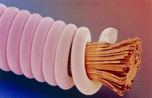Гитарная струна под микроскопом