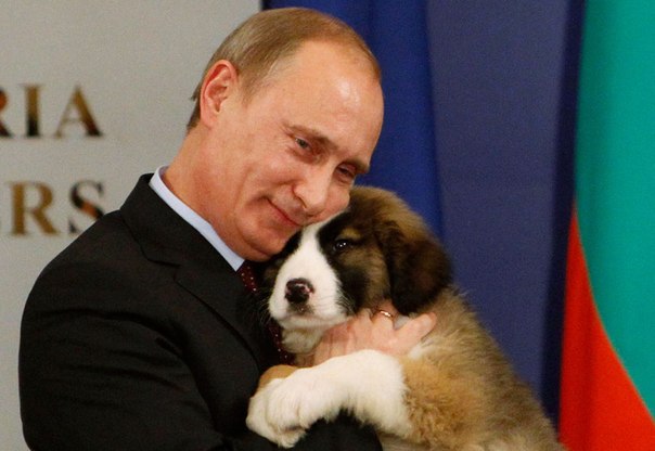 10 самых ярких фотографий президента с животными