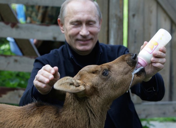 10 самых ярких фотографий президента с животными