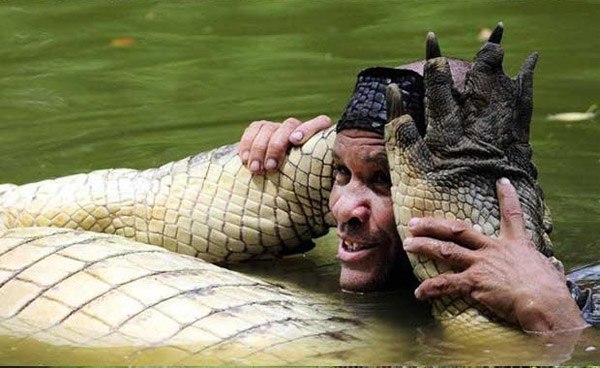 Ручной крокодил.