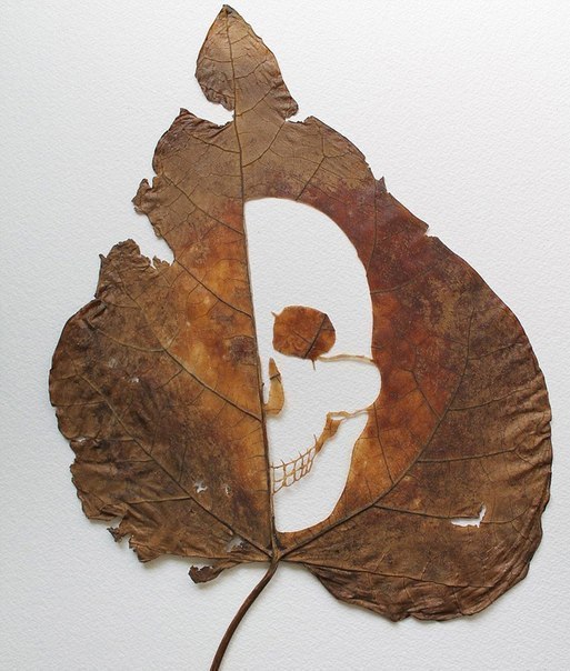 Резьба по листьям от Лоренцо Дюран Силва