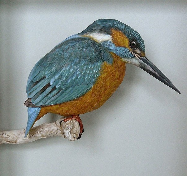 Невероятно реалистичные бумажные 3D птицы