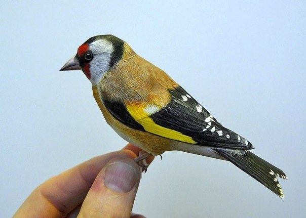 Невероятно реалистичные бумажные 3D птицы