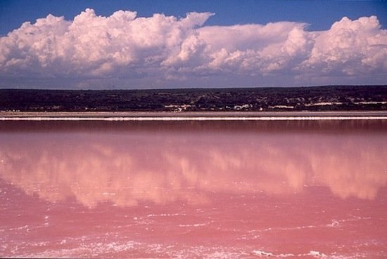 Розовое озеро в Австралии 