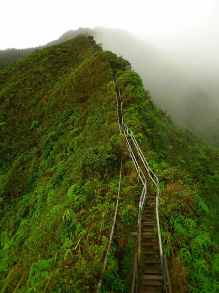 Лестница Хайку на Гаваях