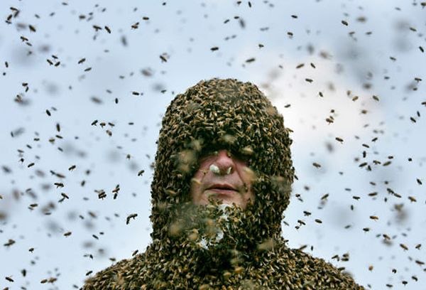 Дензил Сент Клер пытался установить новый рекорд по одновременному удержанию пчел в 2006 году. Он провалился, будучи ужаленным 30