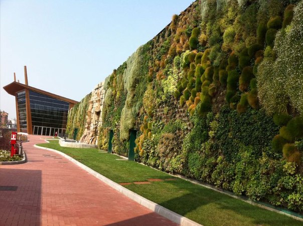 На этой неделе Книга Рекордов Гиннеса признала сад в торговом центре «Фьордалисо» в итальянском городке Роццано крупнейшим вертикальным садом в мире