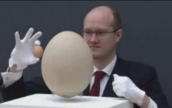 Самое большое яйцо в мире продали на аукционе за $ 45 тысяч