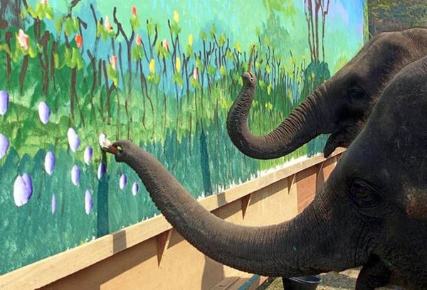 Эти слоны были задействованы в установлении рекорда в категории "Самая дорогая картинка, нарисованная слонами". И такая даже есть