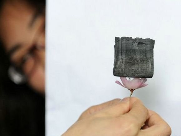 Китайскими учеными разработан самый легкий материал в мире.Его вес настолько мал, что легко удерживается на цветочных лепестках.