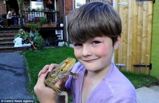 9-летний британец живет в доме с 94 ящерицами.