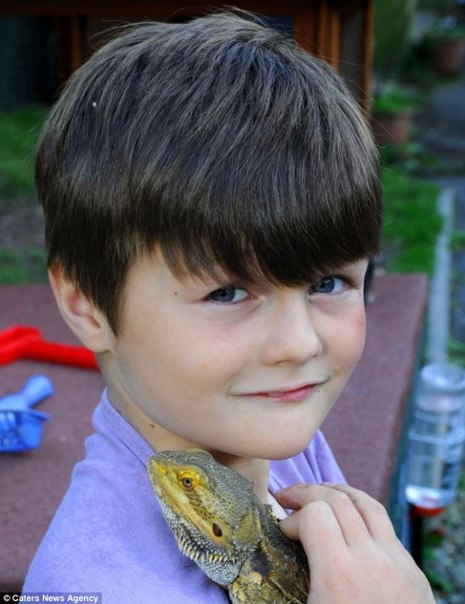 9-летний британец живет в доме с 94 ящерицами.