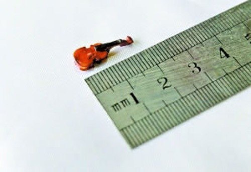 Скрипач из города Гуанчжоу создал мини-скрипку длиной 1 см.