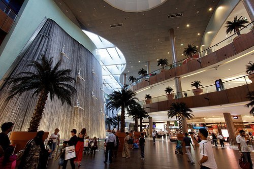 The Dubai Mall — самый крупный торгово-развлекательный центр в мире. Общая площадь центра составляет более 1,2 млн. м², торговая площадь — 350 244 м². Является крупнейшим торговым центром в мире по общей площади. В отношении размера торговой площади является шестым по величине в мире. Dubai Mall — главный проект фирмы Emaar Malls Group, подразделения группы Emaar Properties, занимающегося торговыми центрами. Торговый центр создан в соответствии с концепцией и масштабам строящегося района Дубай даунтаун — нового коммерческого и делового центра Дубая. Здесь под одной крышей находится 1 200 магазинов, а также культурные и развлекательные сооружения мирового уровня. К числу уникальных сооружений, разместившихся под крышей Dubai Mall, относится крупнейший в мире крытый аквариум, в котором можно увидеть более 33 000 рыб и морских животных, в том числе, акул и скатов. Через чашу аквариума, вмещающую 10 млн. литров воды, проходит туннель, застеклённый сверху, так что посетители могут с близкого расстояния рассмотреть обитателей аквариума, проплывающих над ними. Над аквариумом находится «Центр открытий», где можно подробнее ознакомиться с жизнью морей и океанов. Океанариум внесён в книгу рекордов Гиннеса как самый большой в мире крытый океанариум.