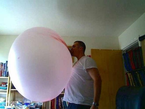 Самый большой пузырь из жвачки диаметром более 58 сантиметров был надут Сюзанной Вильямс из Калифорнии