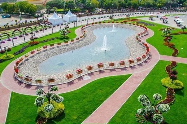 Самый большой в мире парк цветов - Dubai Miracle Garden - был открыт в Дубае 14 февраля 2013 года. Общая площадь парка более 72 000 кв. м. с пешеходными дорожками протяженностью 4 километра.