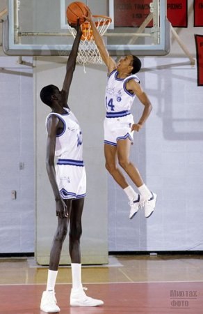 Манут Бол родился в 1962 году в Судане. Он был самым высоким игроком Национальной баскетбольной ассоциации Америки (НБА),его рост составлял 2 м31 см . Его дедушка (тоже есть в списке - ВВ) отличался тоже превысоким ростом - 2,39 м. 