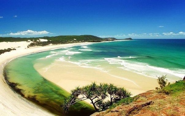 Белопесочный пляж на острове Фрейзер, Австралия. Фрейзер - самый крупный в мире песчаный остров