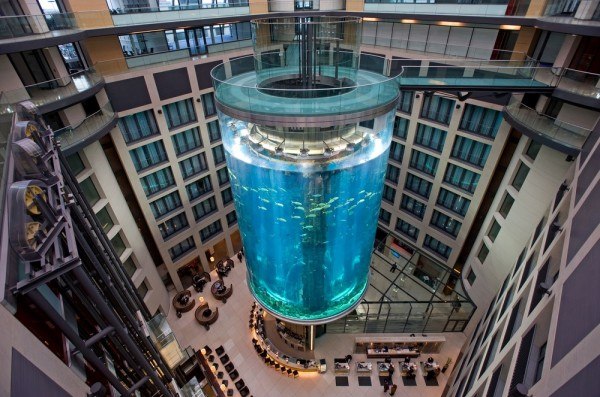 Самый большой цилиндрический аквариум в мире