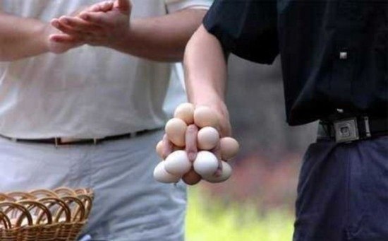 удерживает 17 яиц в одной руке
