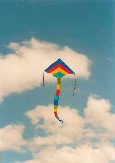 "Воздушный змей, запущенный Питом Ди Джакомо 22 сентября 1989 г. в Оушн-Сити, шт. Мэриленд, США, установил рекорд скорости, равный 193 км/ч."