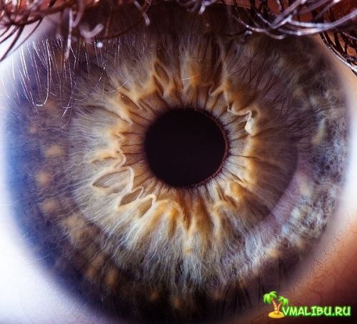 человеческий глаз под микроскопом