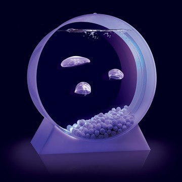Аквариум с медузами.