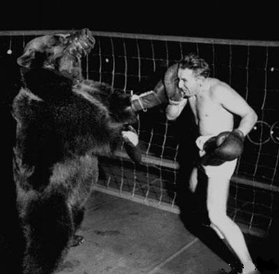 В марте 1949 года состоялся бой между американским боксёром Гусом Вальдорфом и настоящим медведем. 