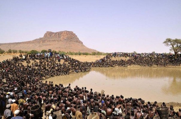 Прямо около деревни Бамба в северной части округа Догон, Мали, есть маленькое священное озеро, где рыбалка разрешена только раз в год, во время уникального ритуала, который носит название Антого.
