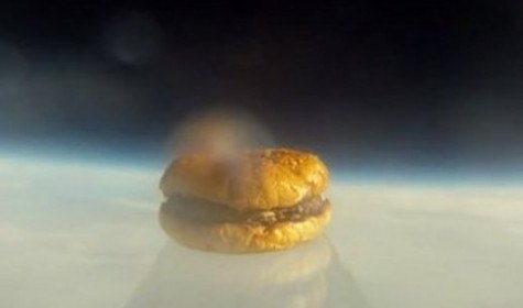 Гамбургер запущен в космос гарвардскими студентами