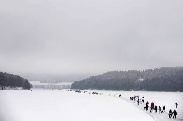 Самая длинная трасса предназначенная для катания на коньках. Данный рекорд был установлен в Канаде 26 января 2008 года. Трасса проходила по участку реки, протяженность трассы составила 8.5 километров.