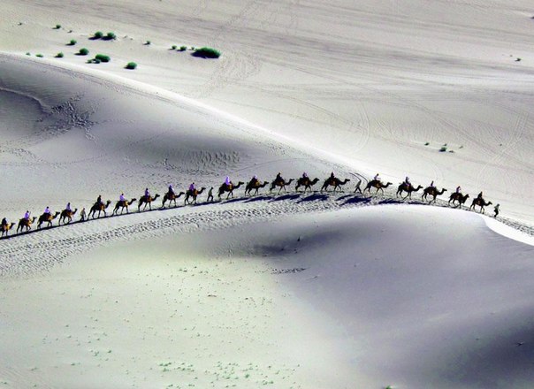 Караван на пути к горе Мингша (горе Поющих песков) во время традиционного китайского фестиваля драгонботов в Дуньхуане, в северо-западной провинции Ганьсу.