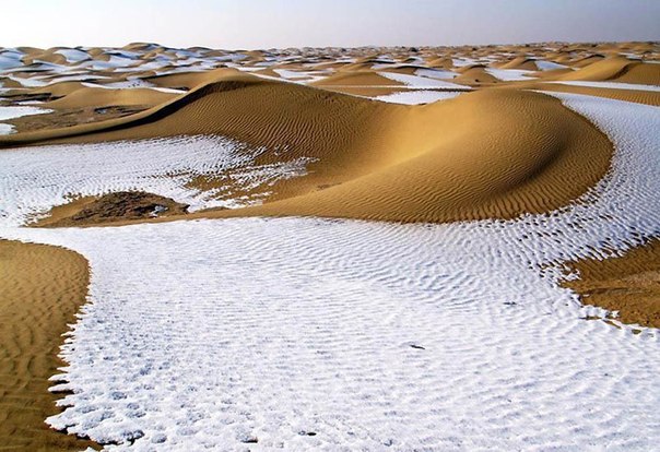 18 февраля 1979 г. в пустыне Сахара однажды – шел снег